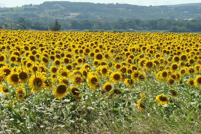 Bordeaux to Dordogne - Private Tour: Fortified Castles and Medieval Villages - The guide can make the long drive worthwhile