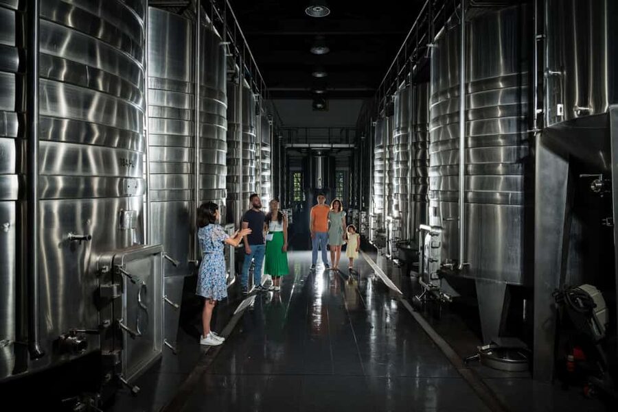 Bordeaux: Visit to Château de Reignac and prestige tasting - Is $29 a good value?