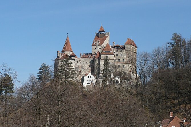 Bran Castle and more options private tour from Brasov - How Florin shapes the experience