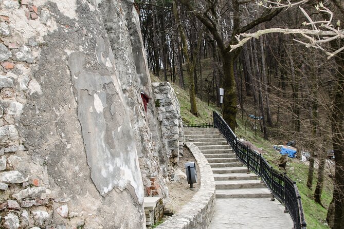 Bran Castle, Bear Sanctuary, and Rasnov Fortress Half Day Tour - Three hours among rescued bears at Libearty