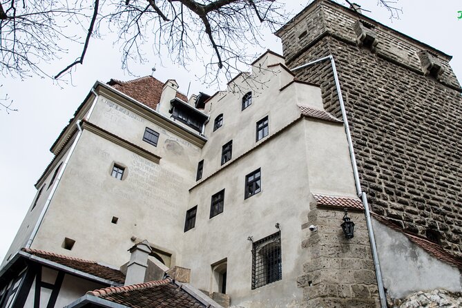 Bran Castle, Bear Sanctuary, and Rasnov Fortress Half Day Tour - Starting from Brașov at 8:30