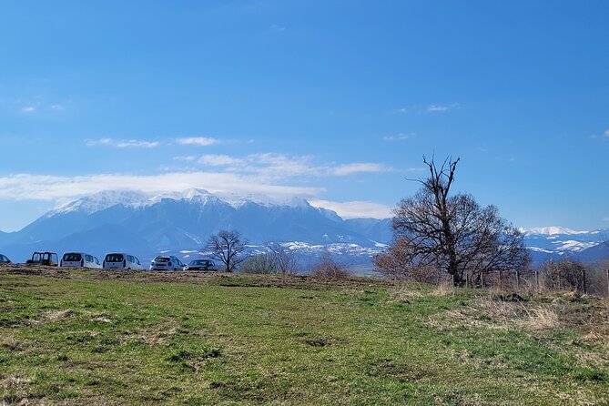 Bran Castle & Bear Sanctuary from Brasov - Optional Peles Castle - The optional Peles Castle choice