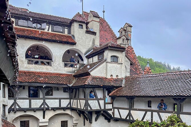 Bran Castle, Peles Castle and Nevermore Academy From Brasov - What guide Vlad adds to the day