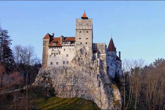 Bran Castle & Peles Castle - Premium Private Tour - Who should book this tour?