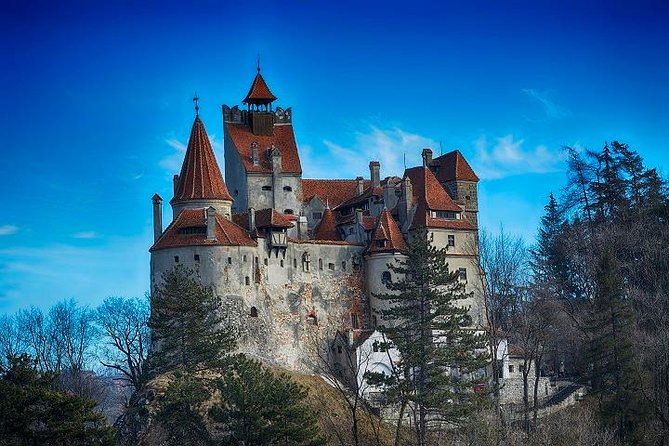 Bran Castle - trip from Brasov - Key points to know before you book