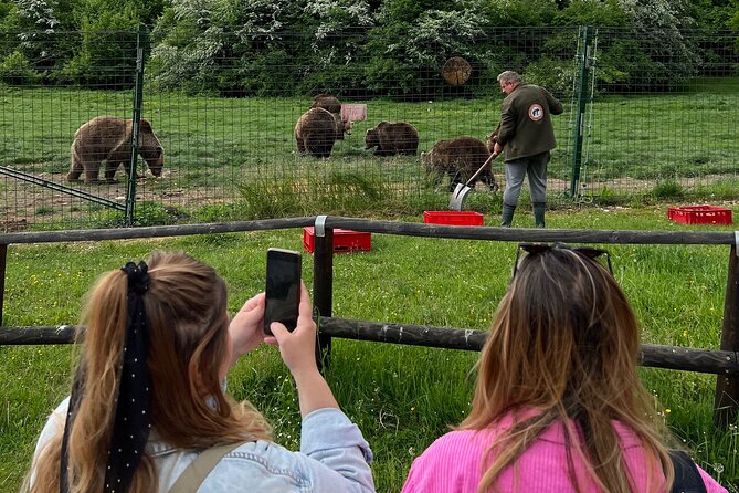 Bran (Dracula) Castle, Bear Sanctuary, Rasnov Fortress & Palinca Distillery - Libearty Bear Sanctuary in Zarnesti