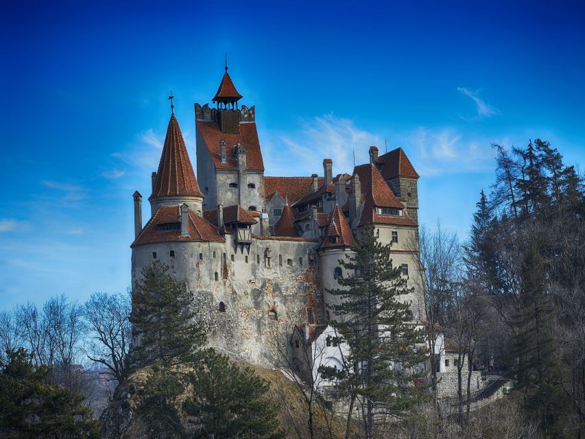 Bran: Guided Castle Tour - Dracula stories without losing the real history