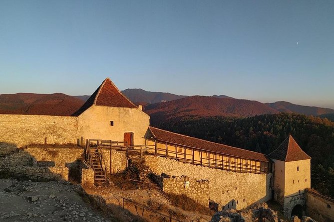 Brasov: Bear Sanctuary, Bran Castle & Rasnov Fortress GUIDED Tour - Who will enjoy this day most