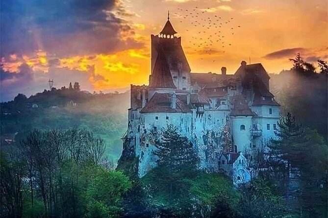 Brasov: Bear Sanctuary, Bran Castle & Rasnov Fortress GUIDED Tour - Practical advice before you go