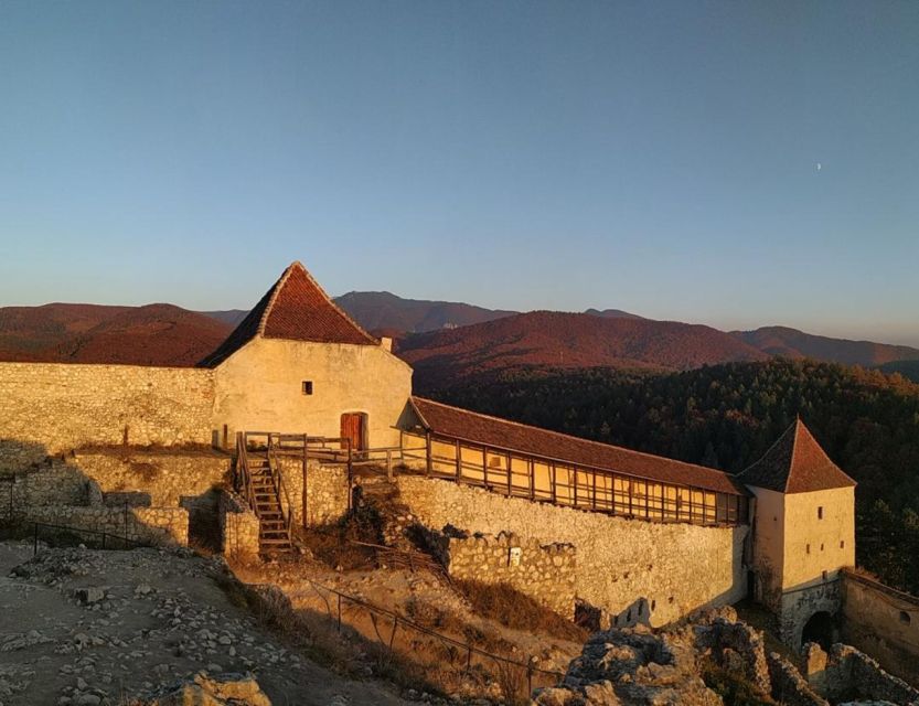 Brasov: Bear Sanctuary, Bran Castle & Rasnov Fortress Tour - What the $61 price really covers