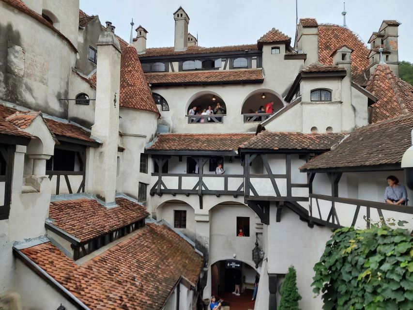 Brasov: Bear Sanctuary, Bran Castle & Rasnov Fortress Tour - Should you book it?