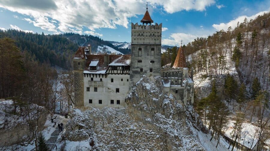 Brasov: Bear Sanctuary, Dracula Castle, and Râşnov Fortress - What the $47 price really covers