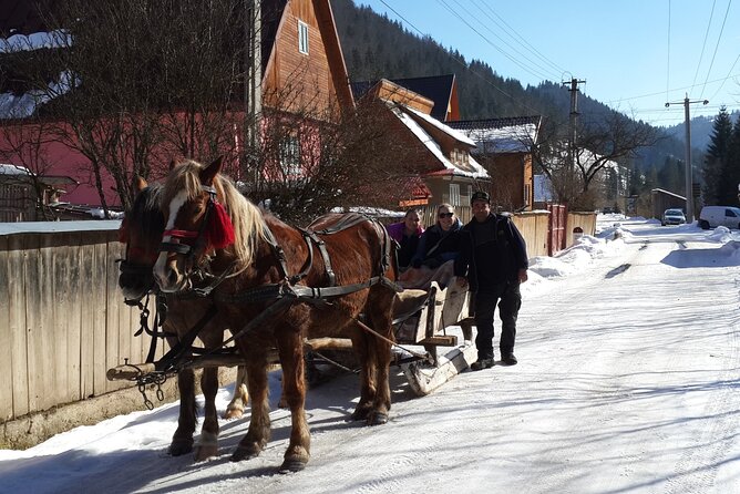 Brasov: Bears Sanctuary, Rasnov Fortress, Bran Castle GUIDED Tour - Transport, timing, and physical effort
