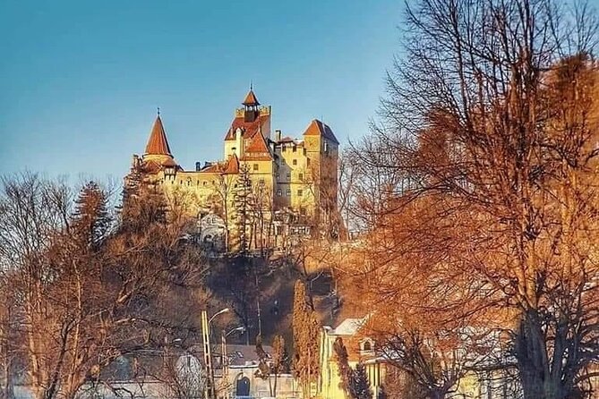 Brasov: Bears Sanctuary, Rasnov Fortress, Bran Castle GUIDED Tour - Who should book this tour?