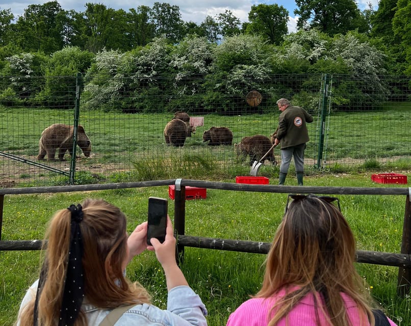 Brasov: Bran Castle, Bear Sanctuary, Rasnov (Peles Optional) - Why this Brasov day trip works