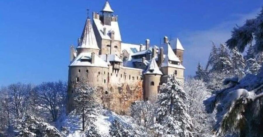 Brasov: Bran, Peles and Cantacuzino Castles Day Tour - Bran Castle, Vlad the Impaler, and Dracula