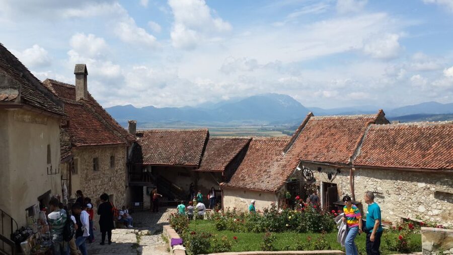 Brasov: Peles Castle, Bran Castle & Rasnov Fortress Day Tour - Practical advice before you go