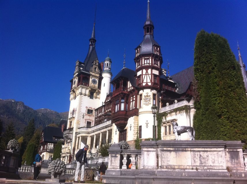 Brasov: Peles Castle, Bran Castle & Rasnov Fortress Day Tour - Rasnov Fortress and the wide view