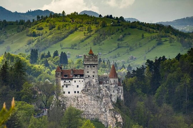 Brasov: Peles Castle, Bran Castles and Rasnov Fortress Day Tour - Why this day trip works from Brasov
