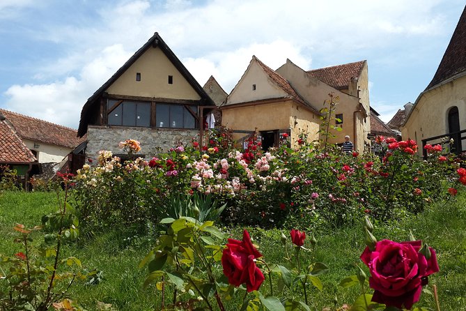 Brasov: Peles Castle, Bran Castles and Rasnov Fortress Day Tour - Bran Castle, Dracula, and the busiest stop