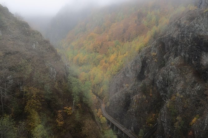 Brasov Private Tour: Transfagarasan road & Poienari Fortress - Poienari Fortress and the 1,480-step test