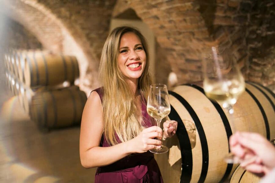 Bratislava: Devin Castle and Wine Tasting Private Tour - What the guided visit adds