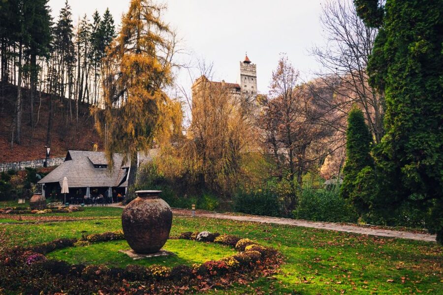 Bucharest: Bran Castle and Bear Sanctuary Small-Group Tour - Bran Castle: separating the building from the Dracula story