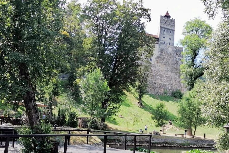 Bucharest: Bran Castle and Bear Sanctuary Small-Group Tour - Lunch in Bran and time to breathe