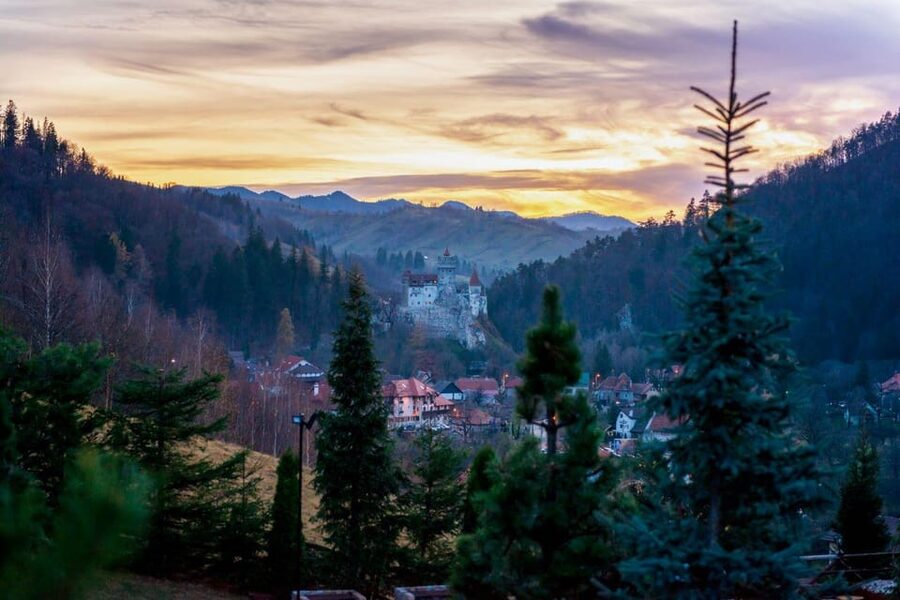 Bucharest: Bran Castle and Bear Sanctuary Small-Group Tour - Libearty Bear Sanctuary: the most meaningful stop