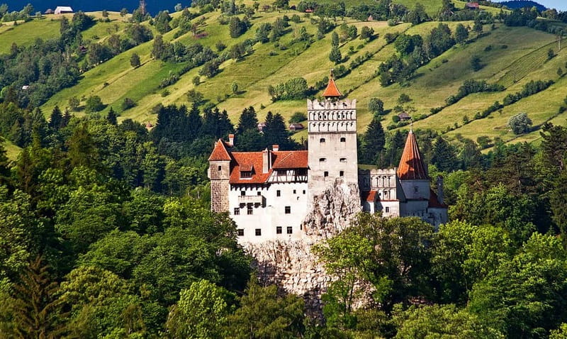 Bucharest: Day Trip to Bear Sanctuary, Bran Castle & Brasov - Leaving Bucharest for the Carpathians
