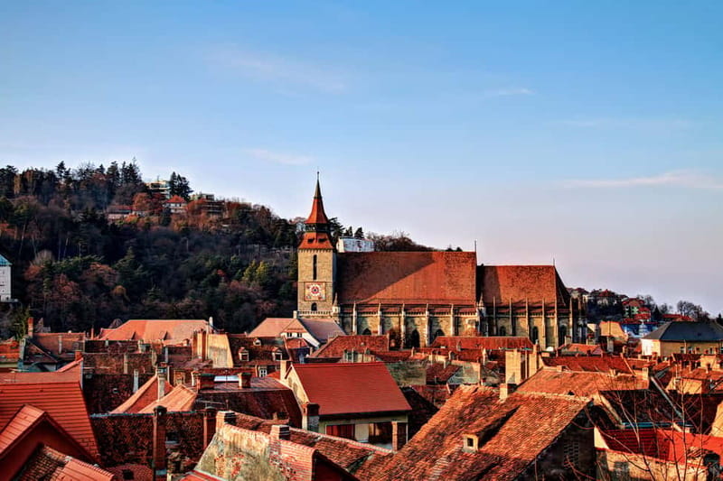 Bucharest: Day Trip to Bear Sanctuary, Bran Castle & Brasov - The Teddy Bear Museum and Its Gentle Detour