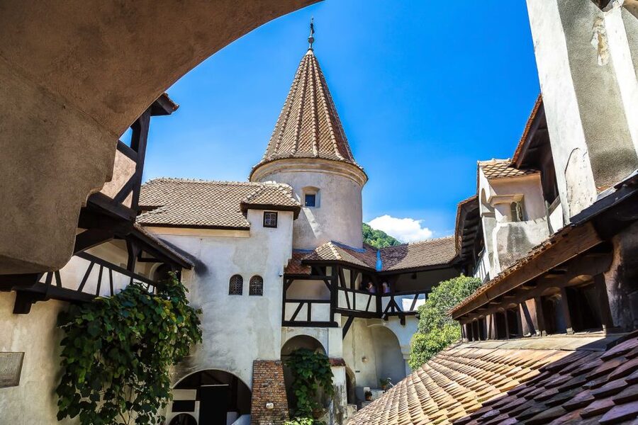 Bucharest: Day Trip to Dracula Castle, Peles Castle & Brașov - Who should book this trip?