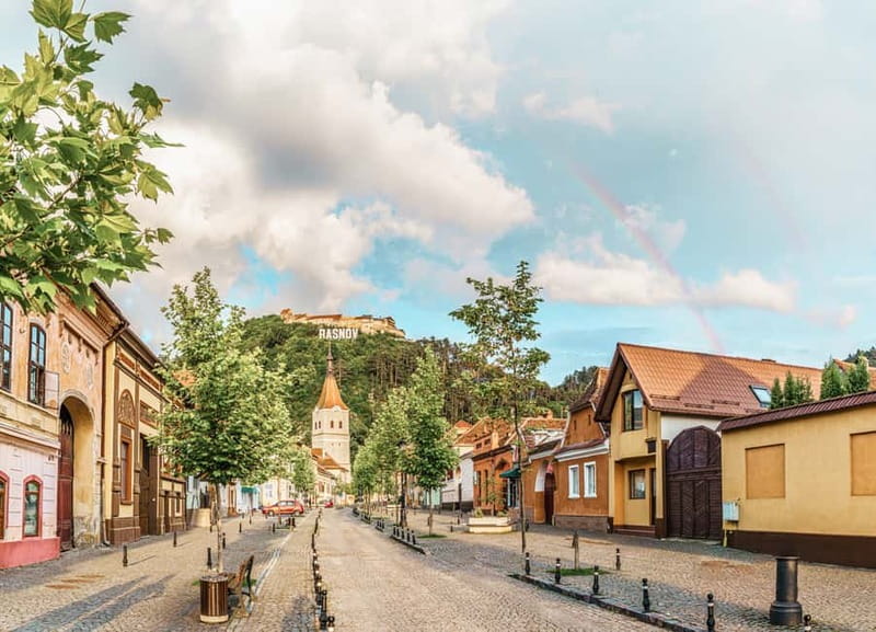 Bucharest: Dracula's Castle, Peleș Castle & Brașov Day Trip - Transport, walking, and the real length of the day