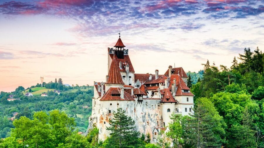 Bucharest: Dracula's Castle, Peles Castle, & Brasov Old Town - What the $40 price really covers
