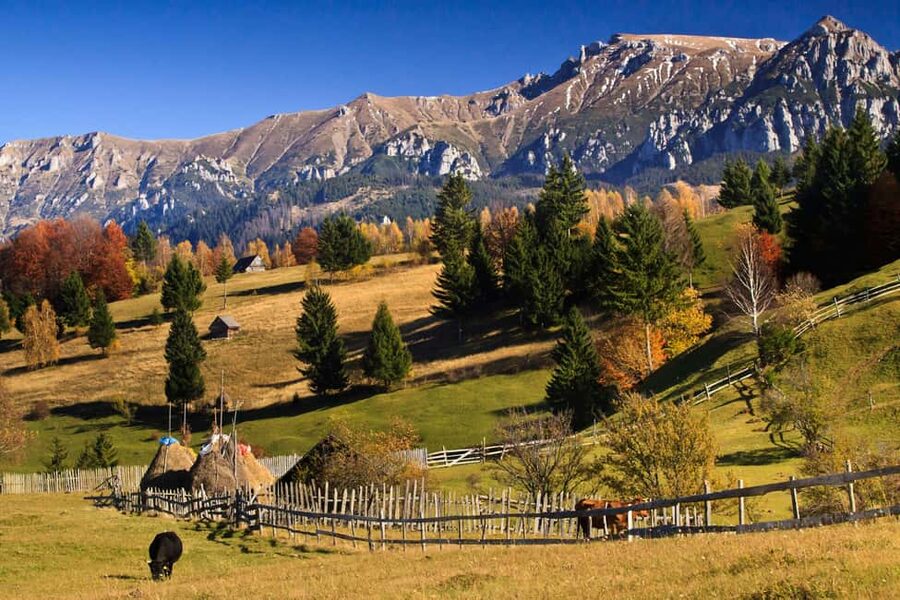 Bucharest:Dracula's Castle,''Wednesday''& Brasov Small Group - The route covers a lot, so pacing matters