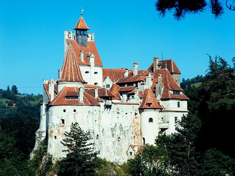 Bucharest: Peles Castle, Dracula's Castle and Brasov Tour - Peleș Castle and its Carpathian setting