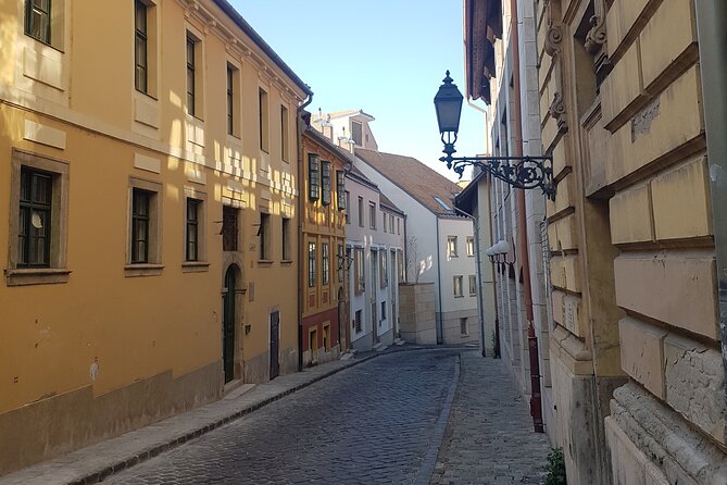 Budapest: Castle District Walking Tour - Medieval streets, Jewish life, and wartime destruction