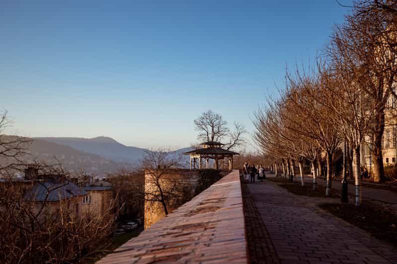 Budapest: The WWII Siege of Buda Castle & Bomb Shelter Tour - Who should book this tour?