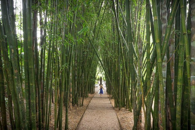 Byron Bay and Beyond Tour Including Cape Bryon Lighthouse Crystal Castle and Bangalow - Who should book this Byron Bay tour?
