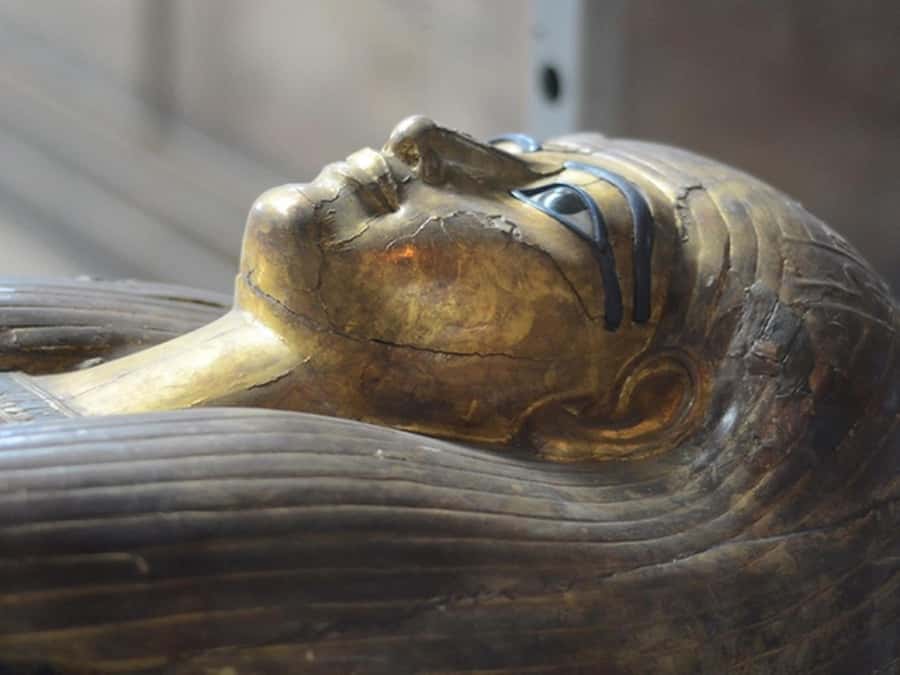 Cairo: Egyptian Museum, Citadel, and Old Cairo Guided Tour - Egyptian Museum: start with the main treasures