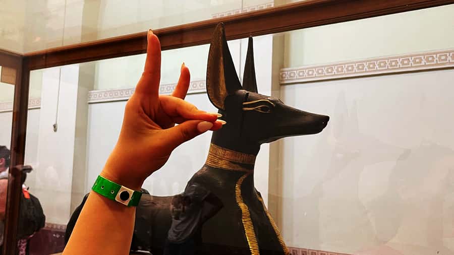 Cairo: Private Tour to Museum, Citadel & Coptic Churches - Should you book it?