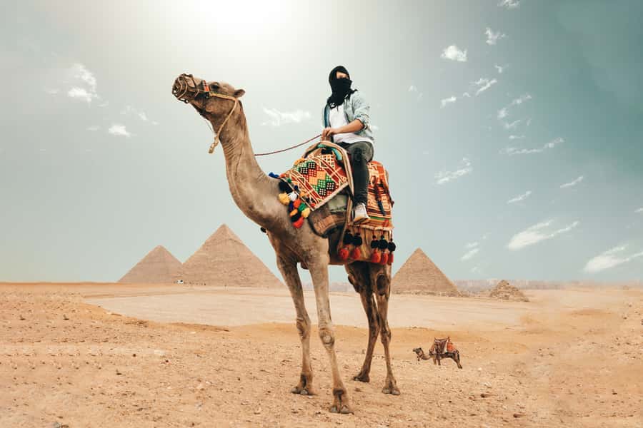 Cairo: Pyramids, Bazaar, Citadel Tour with Photographer - The Giza Plateau and the Great Pyramid