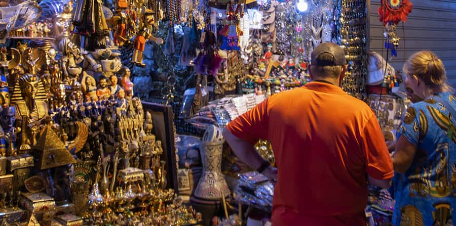 Cairo: Salah El Din Citadel and Old Cairo Bazar Guided Tour - Who should book this experience?