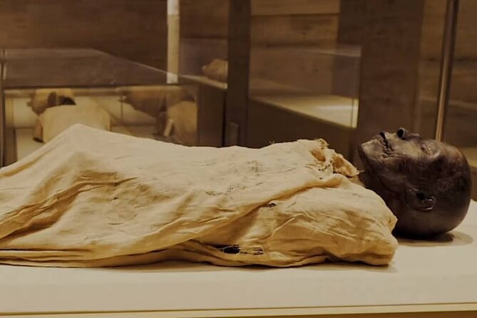 Cairo Tour To The National Museum of Egyptian Civilization, Citadel & Bazaar - NMEC and the story of Egyptian civilization