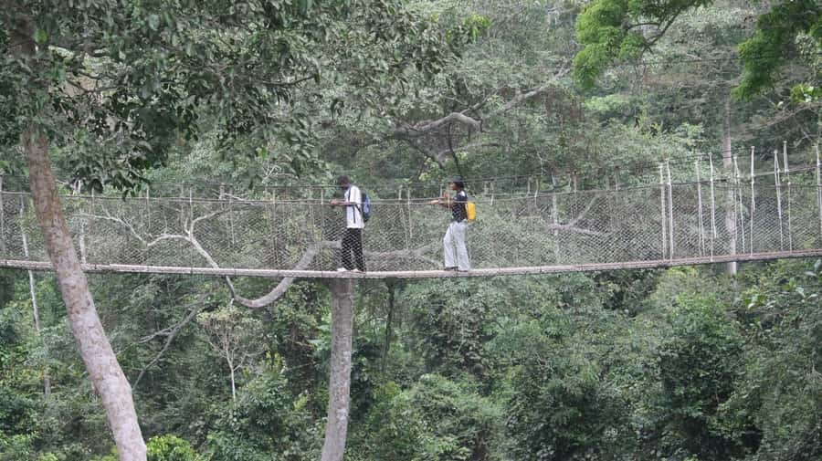 Cape Coast: Kakum National Park, Castles, & Hans Cottage - Why This Day Trip Works From Accra