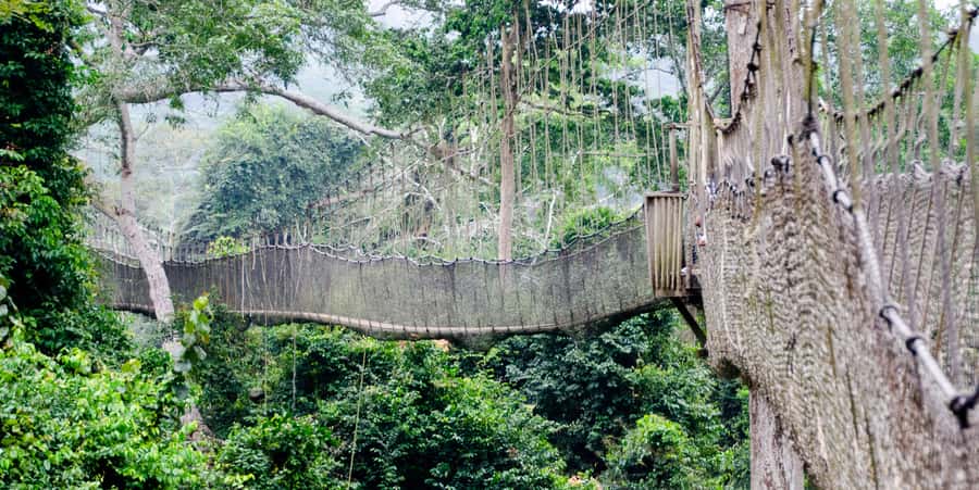 Cape Coast: Kakum National Park, Castles, & Hans Cottage - Hans Cottage and the Crocodiles