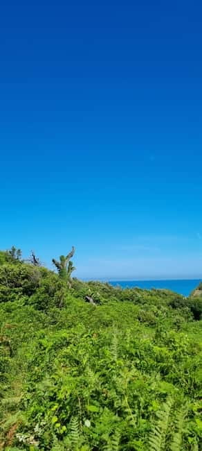 Cape of Rodon, Hiking to Castle, Beach, Wine testing tour! - Why Cape of Rodon makes a good day trip