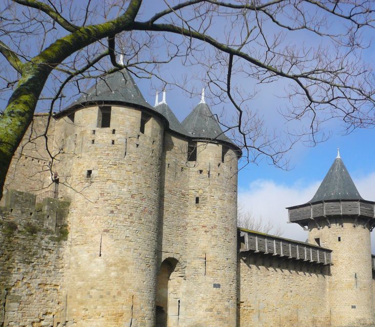 Carcassonne: Fortress Walking Tour - Key points to know before you book