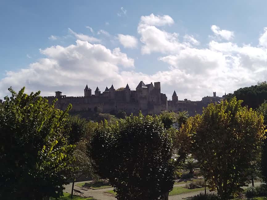 Carcassonne: Private Guided Tour of the Medieval Fortress - Who will enjoy this Carcassonne tour most?
