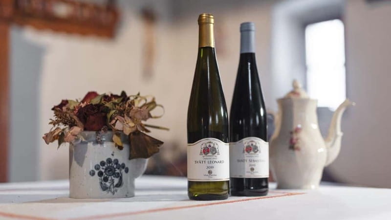 Carpathian Wine tasting tour + Red Stone Castle (Bratislava) - Červený Kameň, the day’s anchor